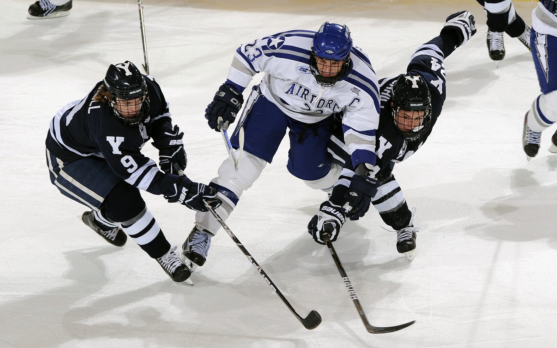 体育新闻中心完善体育新闻审核机制建设，体育新闻主要报道形式
