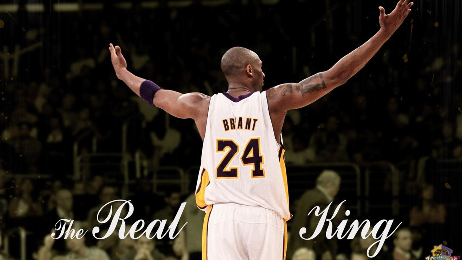 星空体育官网入口-APEX英雄 职业联赛新积分制公布 竞争更激烈，apex排位积分